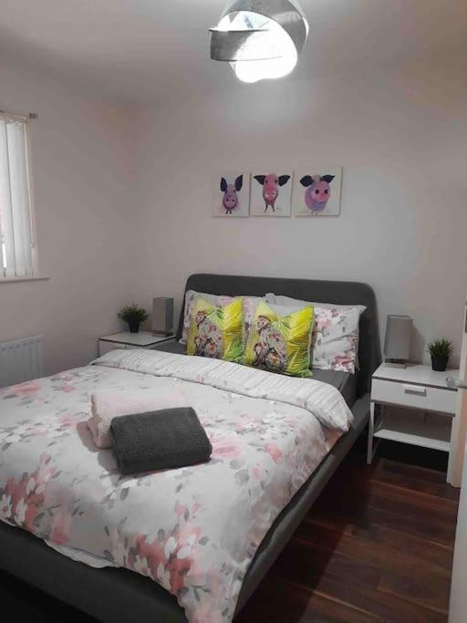 Belfast Apartment Esterno foto